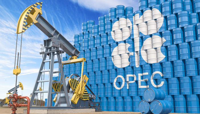 OPEC+ members finally reached a consensus