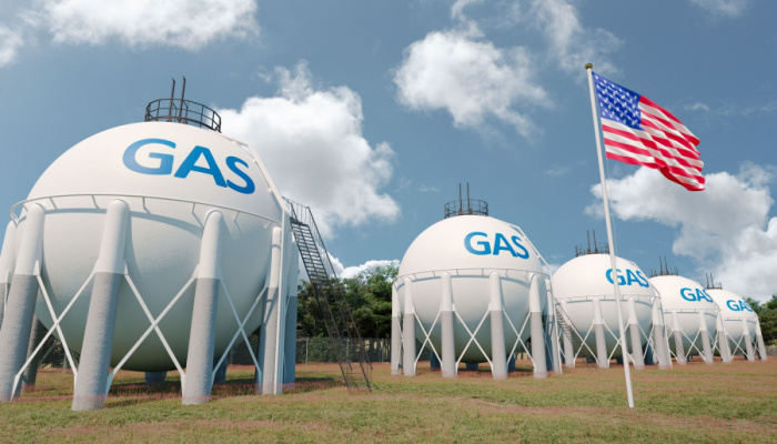 Informe semanal sobre el almacenamiento de gas natural del 11 de noviembre